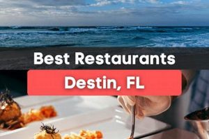 Your Guide: Vegan Restaurants in Destin, FL - Best Spots! | Discover Delicious Vegan Food, Beauty Swaps, and Zero-Waste Tips for a Greener Life