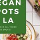 Your Guide: Best Vegan Restaurants in Marietta GA + More | Discover Delicious Vegan Food, Beauty Swaps, and Zero-Waste Tips for a Greener Life