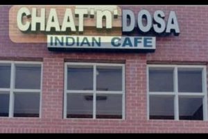 Plano's Best Chaat & Dosa: Vegetarian & Vegan Restaurant Reviews | Discover Delicious Vegan Food, Beauty Swaps, and Zero-Waste Tips for a Greener Life