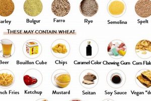 Best Gluten Vegan Food: Recipes & Guide! | Discover Delicious Vegan Food, Beauty Swaps, and Zero-Waste Tips for a Greener Life