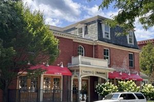 Your Guide: Vegan Restaurants in Northampton, MA | Discover Delicious Vegan Food, Beauty Swaps, and Zero-Waste Tips for a Greener Life