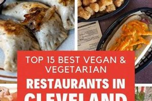 Your Guide to Vegan Restaurants in Youngstown, OH | Discover Delicious Vegan Food, Beauty Swaps, and Zero-Waste Tips for a Greener Life