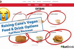 Vegan at Raising Cane's: Navigating the Options Guide | Discover Delicious Vegan Food, Beauty Swaps, and Zero-Waste Tips for a Greener Life