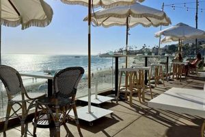 Best Vegan Food Laguna Beach: Your Guide + More! | Discover Delicious Vegan Food, Beauty Swaps, and Zero-Waste Tips for a Greener Life