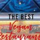 Best Vegan Restaurants in Silver Spring, MD: Guide &amp; More | Discover Delicious Vegan Food, Beauty Swaps, and Zero-Waste Tips for a Greener Life