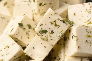 Vegan Guide: Is Feta Vegan? & Best Alternatives | Discover Delicious Vegan Food, Beauty Swaps, and Zero-Waste Tips for a Greener Life