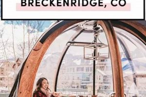Your Guide: Breckenridge Vegan Restaurants &amp; Delicious Eats | Discover Delicious Vegan Food, Beauty Swaps, and Zero-Waste Tips for a Greener Life