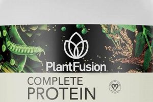 Boost Protein: Vegan Protein Powder High in Lysine | Discover Delicious Vegan Food, Beauty Swaps, and Zero-Waste Tips for a Greener Life