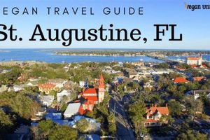 Guide to Vegan Restaurants in St. Augustine, FL Today! | Discover Delicious Vegan Food, Beauty Swaps, and Zero-Waste Tips for a Greener Life