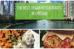 The Top Best Vegan Restaurants Chicago Guide 2024 | Discover Delicious Vegan Food, Beauty Swaps, and Zero-Waste Tips for a Greener Life