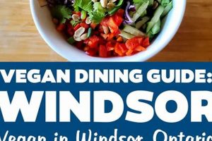 Your Guide to Vegan Restaurants in Windsor, ON | Discover Delicious Vegan Food, Beauty Swaps, and Zero-Waste Tips for a Greener Life