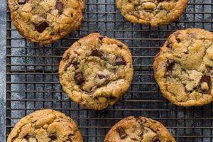 The Best Vegan Chocolate Chip Cookies: Get Chewy Results! | Discover Delicious Vegan Food, Beauty Swaps, and Zero-Waste Tips for a Greener Life