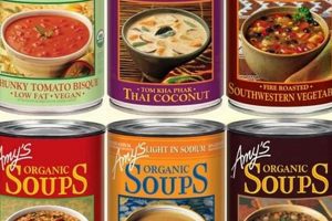 Best Vegan Soup Brands: Your Guide + Recipes | Discover Delicious Vegan Food, Beauty Swaps, and Zero-Waste Tips for a Greener Life