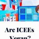 The Icy Truth: Are Icees Vegan-Friendly? | Discover Delicious Vegan Food, Beauty Swaps, and Zero-Waste Tips for a Greener Life