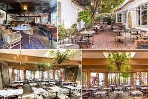 Best Vegan Restaurant Sherman Oaks Guide (2024) | Discover Delicious Vegan Food, Beauty Swaps, and Zero-Waste Tips for a Greener Life