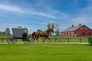 Best Vegan Food in Lancaster, PA: Your Guide | Discover Delicious Vegan Food, Beauty Swaps, and Zero-Waste Tips for a Greener Life