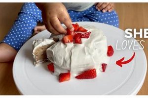 Easy Vegan Smash Cake Recipe: The Best [Keyword] | Discover Delicious Vegan Food, Beauty Swaps, and Zero-Waste Tips for a Greener Life