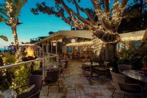 Best Vegan Restaurants Malibu: Your Plant-Based Guide | Discover Delicious Vegan Food, Beauty Swaps, and Zero-Waste Tips for a Greener Life