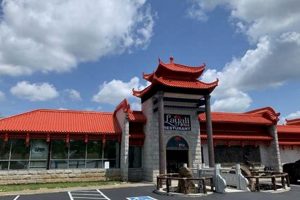 Top Vegan Restaurants in Murfreesboro TN: A Guide | Discover Delicious Vegan Food, Beauty Swaps, and Zero-Waste Tips for a Greener Life