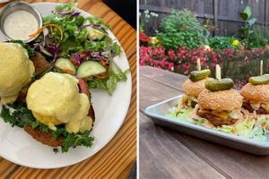 Guide to Ohio Vegan Restaurants: Find Your Flavor! | Discover Delicious Vegan Food, Beauty Swaps, and Zero-Waste Tips for a Greener Life