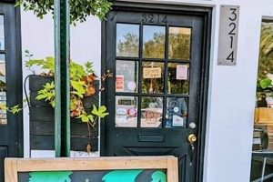 Best Vegan Restaurants in St. Pete: A Local's Guide | Discover Delicious Vegan Food, Beauty Swaps, and Zero-Waste Tips for a Greener Life