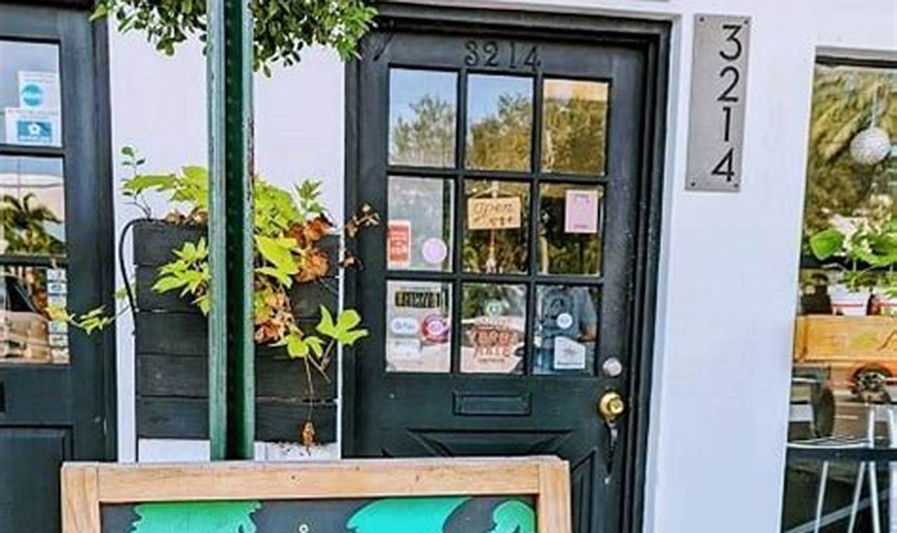 Best Vegan Restaurants in St. Pete: A Local's Guide | Discover Delicious Vegan Food, Beauty Swaps, and Zero-Waste Tips for a Greener Life
