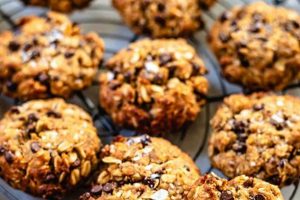 Best Vegan Lactation Cookies: Recipes &amp; More! | Discover Delicious Vegan Food, Beauty Swaps, and Zero-Waste Tips for a Greener Life