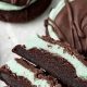 The BEST Vegan Chocolate Mint Cookies Recipe [Easy!] | Discover Delicious Vegan Food, Beauty Swaps, and Zero-Waste Tips for a Greener Life
