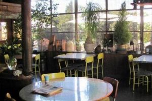 Your Guide: Vegan Restaurants Modesto, CA - Best Eats! | Discover Delicious Vegan Food, Beauty Swaps, and Zero-Waste Tips for a Greener Life