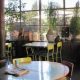 Your Guide: Vegan Restaurants Modesto, CA - Best Eats! | Discover Delicious Vegan Food, Beauty Swaps, and Zero-Waste Tips for a Greener Life
