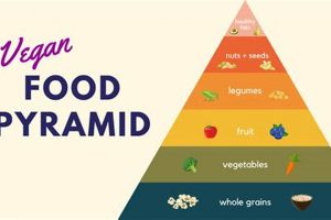 Your Vegan Food Guide Pyramid: Healthy Plant-Based Eating | Discover Delicious Vegan Food, Beauty Swaps, and Zero-Waste Tips for a Greener Life
