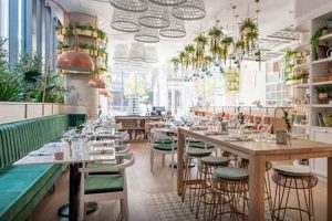 Toronto Vegan Restaurants: Your Plant-Based Guide | Discover Delicious Vegan Food, Beauty Swaps, and Zero-Waste Tips for a Greener Life