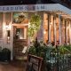 Best Vegan Restaurants in Park Slope: A Local's Guide | Discover Delicious Vegan Food, Beauty Swaps, and Zero-Waste Tips for a Greener Life