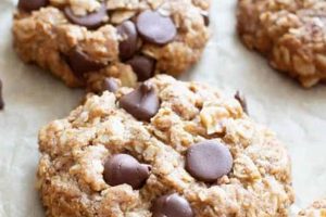 Best Oatmeal Vegan Chocolate Chip Cookies: Recipe! | Discover Delicious Vegan Food, Beauty Swaps, and Zero-Waste Tips for a Greener Life