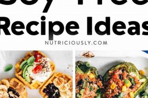 Soy-Free & Vegan: Delicious Freedom, Diet Recipes and Tips | Discover Delicious Vegan Food, Beauty Swaps, and Zero-Waste Tips for a Greener Life