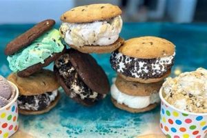 Best Vegan Ice Cream in Portland, ME: [Your Brand] & More! | Discover Delicious Vegan Food, Beauty Swaps, and Zero-Waste Tips for a Greener Life