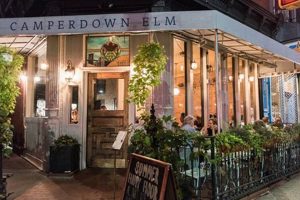 Best Park Slope Vegan Restaurants: Your Guide | Discover Delicious Vegan Food, Beauty Swaps, and Zero-Waste Tips for a Greener Life