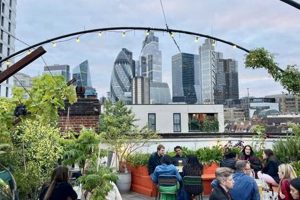 Top Vegan Rooftop Restaurant: Elevate Your Plate! Discover Delicious Vegan Food, Beauty Swaps, and Zero-Waste Tips for a Greener Life Top Vegan Rooftop Restaurant: Elevate Your Plate! | Discover Delicious Vegan Food, Beauty Swaps, and Zero-Waste Tips for a Greener Life