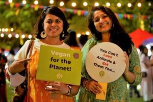 The Complete Guide to Vegan of India Your Ethical Path | Discover Delicious Vegan Food, Beauty Swaps, and Zero-Waste Tips for a Greener Life
