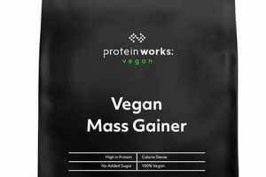 Best Vegan Mass Gainer Protein: Build Muscle Fast! | Discover Delicious Vegan Food, Beauty Swaps, and Zero-Waste Tips for a Greener Life