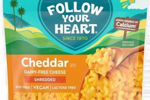 Discover Vegan Cheese: Follow Your Heart & More! | Discover Delicious Vegan Food, Beauty Swaps, and Zero-Waste Tips for a Greener Life