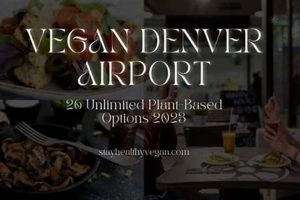 Guide to Vegan Food at Denver Airport (DIA) | Discover Delicious Vegan Food, Beauty Swaps, and Zero-Waste Tips for a Greener Life