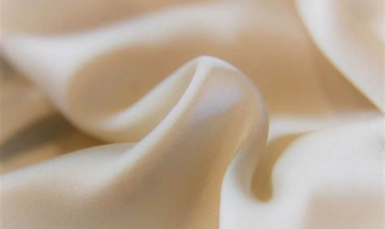 Vegan Guide: Is Silk Vegan? Facts &amp; Alternatives | Discover Delicious Vegan Food, Beauty Swaps, and Zero-Waste Tips for a Greener Life