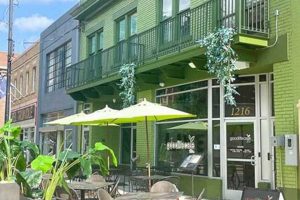 Best Vegan Restaurants in Columbia, SC: A Plant-Based Guide | Discover Delicious Vegan Food, Beauty Swaps, and Zero-Waste Tips for a Greener Life