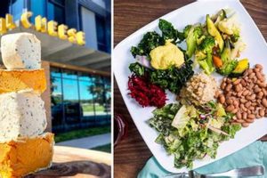 Your Guide: Vegan Options Austin + Best Spots | Discover Delicious Vegan Food, Beauty Swaps, and Zero-Waste Tips for a Greener Life