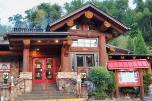 Guide to Vegan Food in Gatlinburg, TN: Best Options | Discover Delicious Vegan Food, Beauty Swaps, and Zero-Waste Tips for a Greener Life