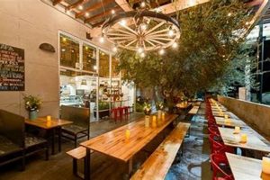 Best Vegan Restaurants Culver City CA: Your Guide | Discover Delicious Vegan Food, Beauty Swaps, and Zero-Waste Tips for a Greener Life