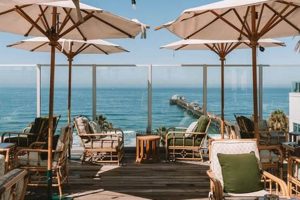 Best Vegan Restaurant Oceanside, CA: Your Guide! Discover Delicious Vegan Food, Beauty Swaps, and Zero-Waste Tips for a Greener Life Best Vegan Restaurant Oceanside, CA: Your Guide! | Discover Delicious Vegan Food, Beauty Swaps, and Zero-Waste Tips for a Greener Life