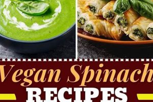 Easy Vegan Spinach Recipes: Healthy & Delicious | Discover Delicious Vegan Food, Beauty Swaps, and Zero-Waste Tips for a Greener Life