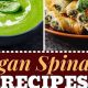 Easy Vegan Spinach Recipes: Healthy & Delicious | Discover Delicious Vegan Food, Beauty Swaps, and Zero-Waste Tips for a Greener Life